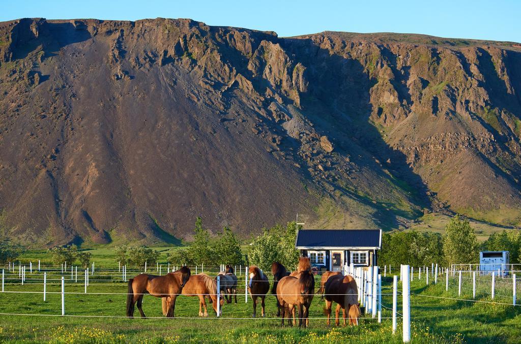 Akurgerthi Guesthouse 2 - Country Life Style Olfus Eksteriør billede