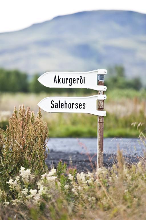 Akurgerthi Guesthouse 2 - Country Life Style Olfus Eksteriør billede